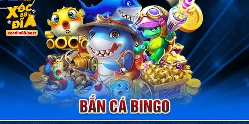 ban-ca-bingo-trai-nghiem-dai-duong-thu-vi-va-san-thuong