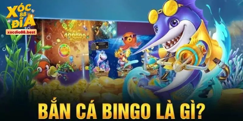 Khám phá trò chơi bắn cá Bingo